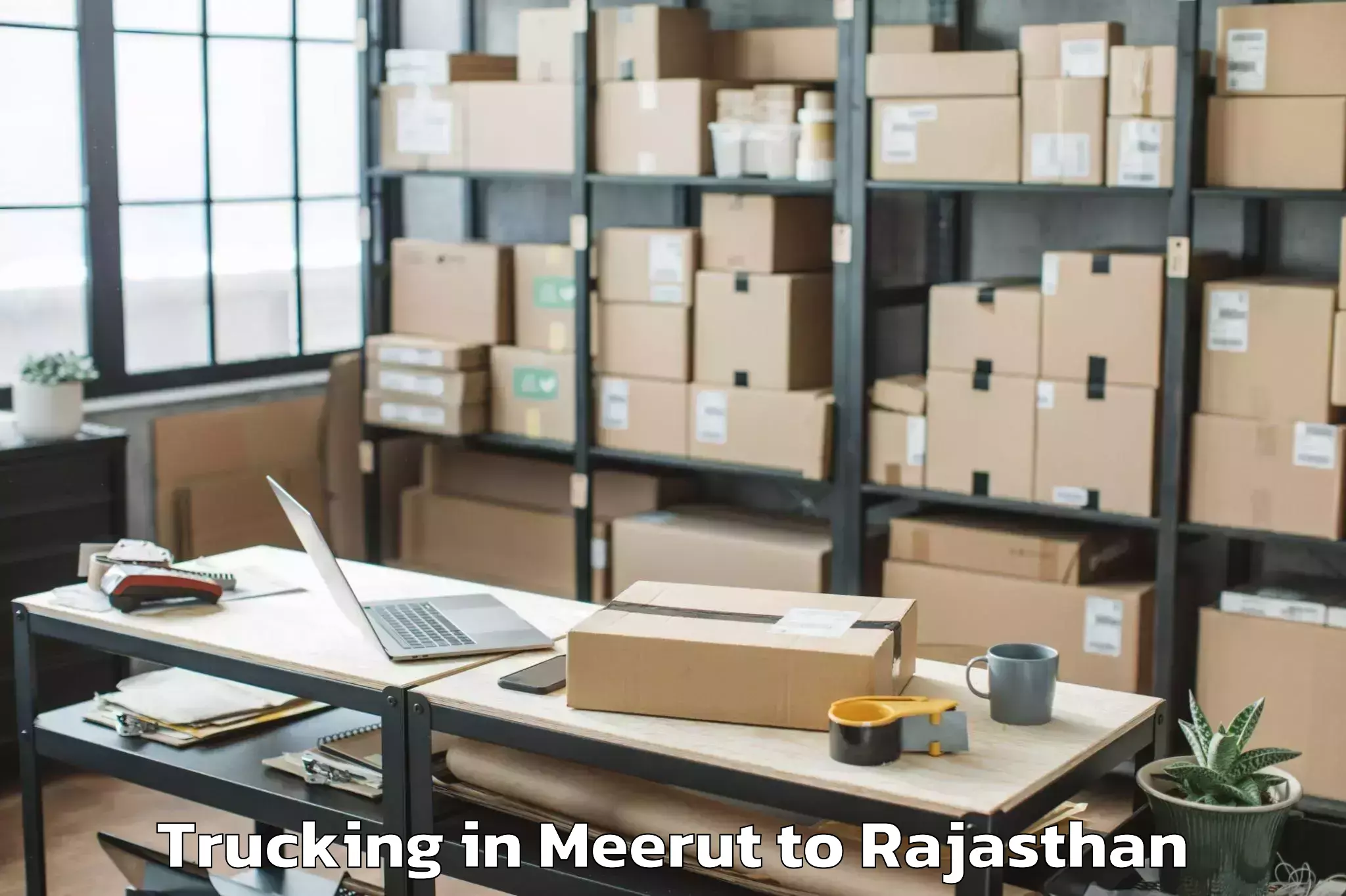 Easy Meerut to Asind Trucking Booking